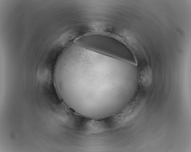 X0000113030568200908271457