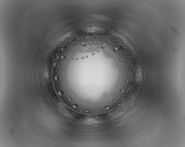 X0000113030569200908271457