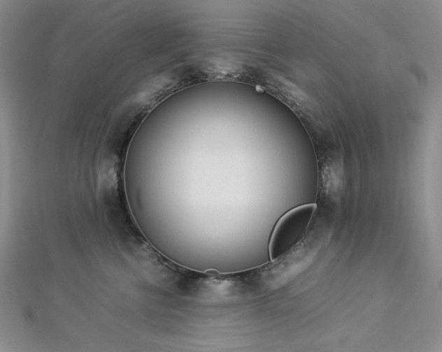 X0000113030570200908271457