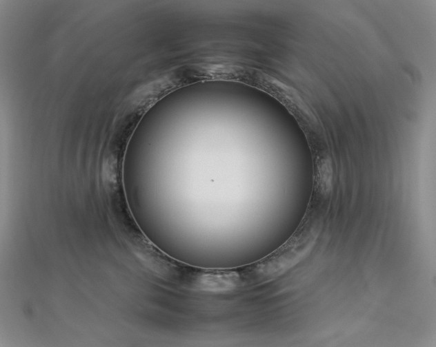 X0000113030571200908271457