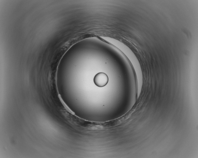 X0000113030572200908271457