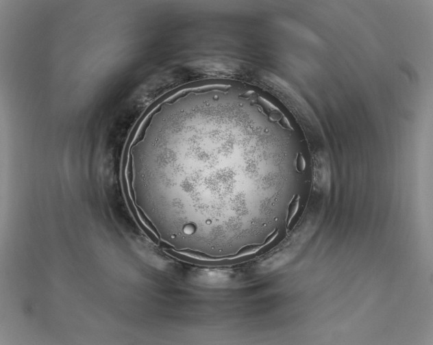 X0000113030573200908271457