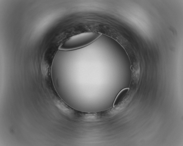 X0000113030574200908271457