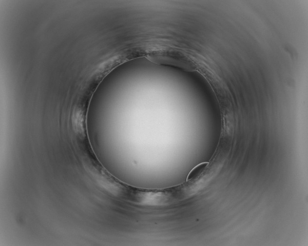 X0000113030575200908271457