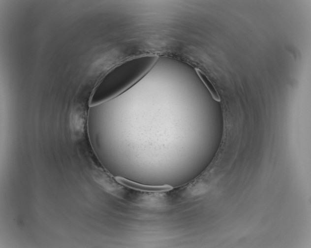 X0000113030576200908271457