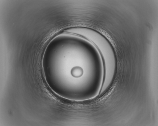 X0000113030577200908271457