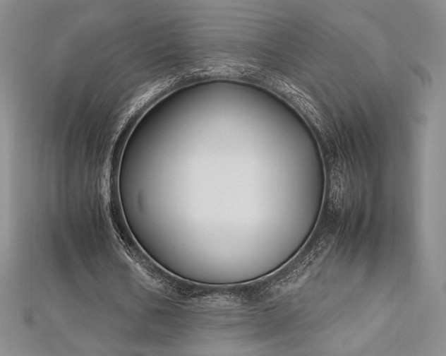 X0000113030578200908271457