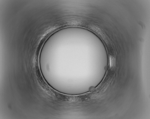 X0000113030579200908271457