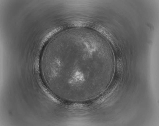 X0000113030581200908271456