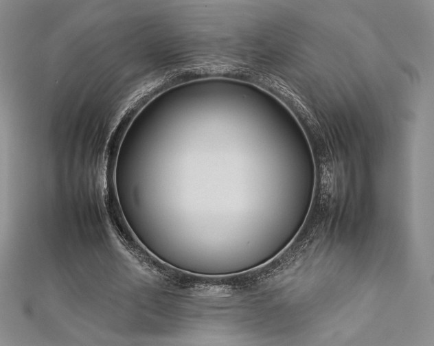 X0000113030582200908271456