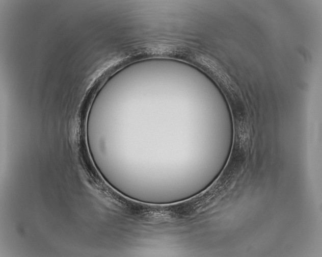 X0000113030583200908271456