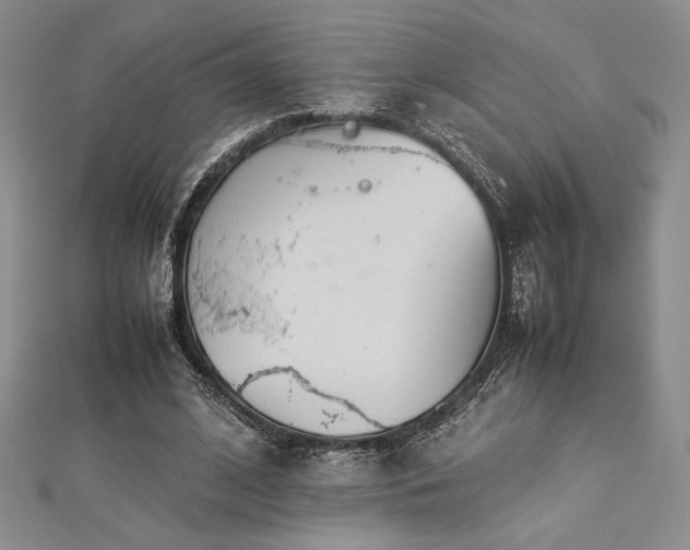 X0000113030584200908271456