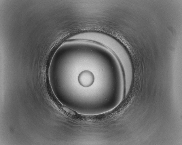 X0000113030585200908271456