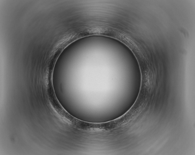 X0000113030586200908271456