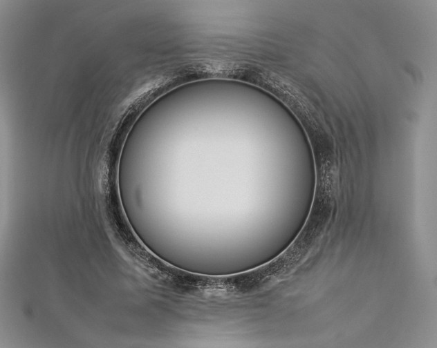 X0000113030587200908271456