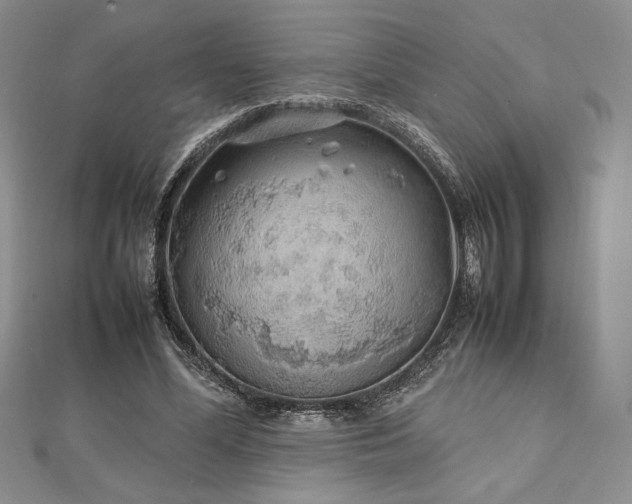 X0000113030588200908271456