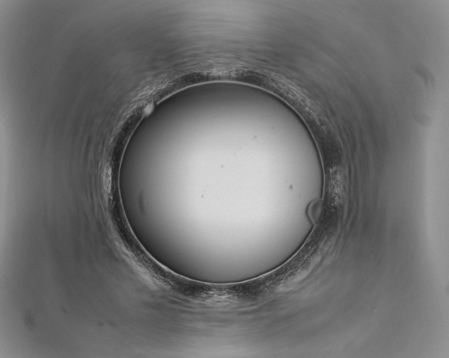 X0000113030589200908271456