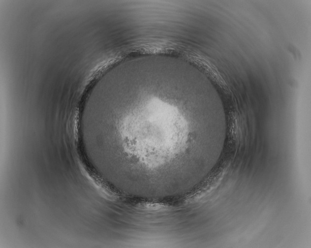 X0000113030590200908271456