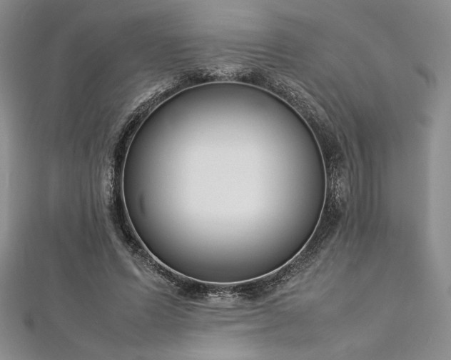 X0000113030591200908271456