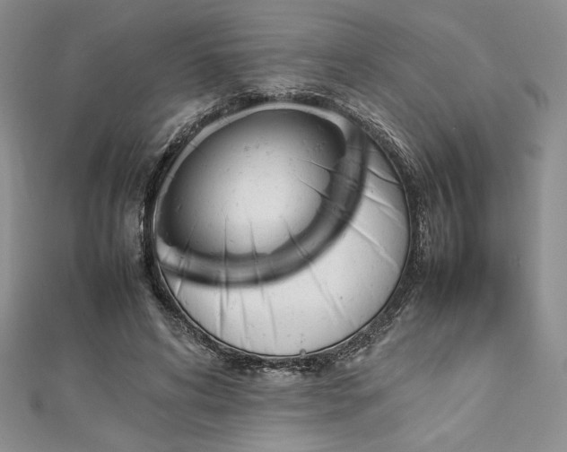 X0000113030592200908271456