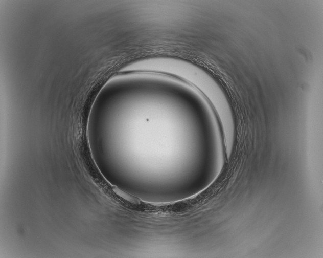 X0000113030593200908271456