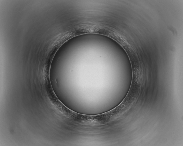 X0000113030594200908271456