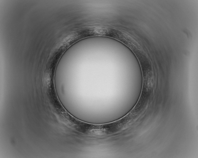 X0000113030595200908271456