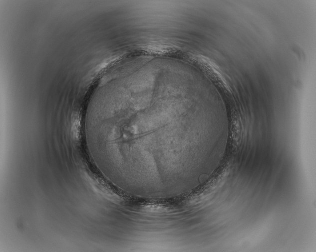 X0000113030596200908271456