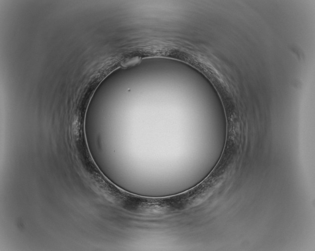 X0000113030597200908271456