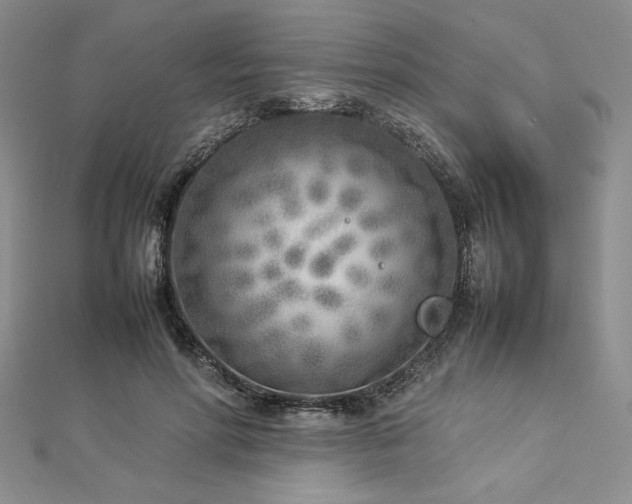 X0000113030598200908271456