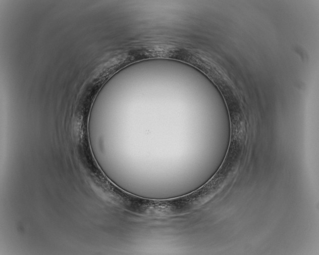 X0000113030599200908271456