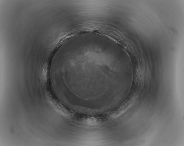 X0000113030600200908271456