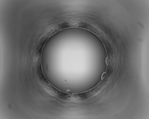 X0000113030601200908271456