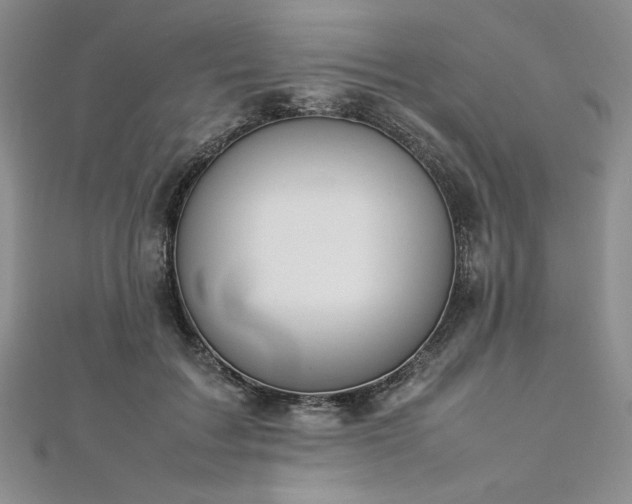 X0000113030603200908271456