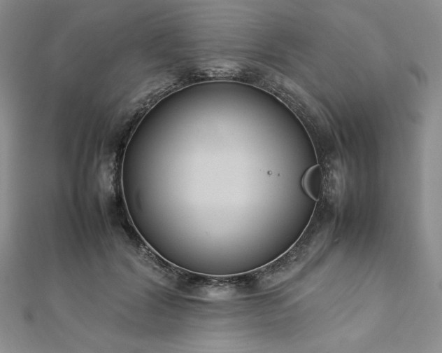 X0000113030604200908271456