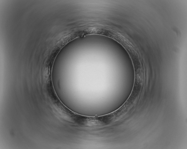 X0000113030605200908271456