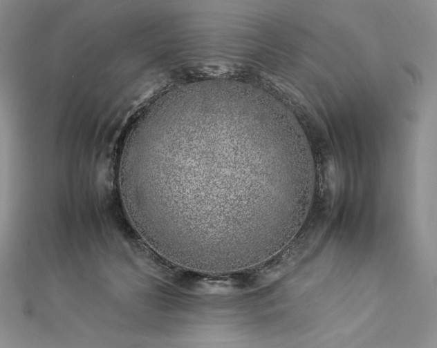 X0000113030606200908271456