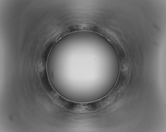 X0000113030607200908271456