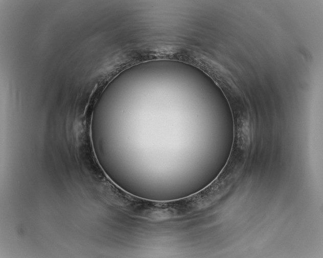 X0000113030608200908271456