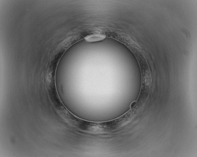 X0000113030611200908271456