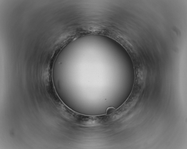 X0000113030612200908271456