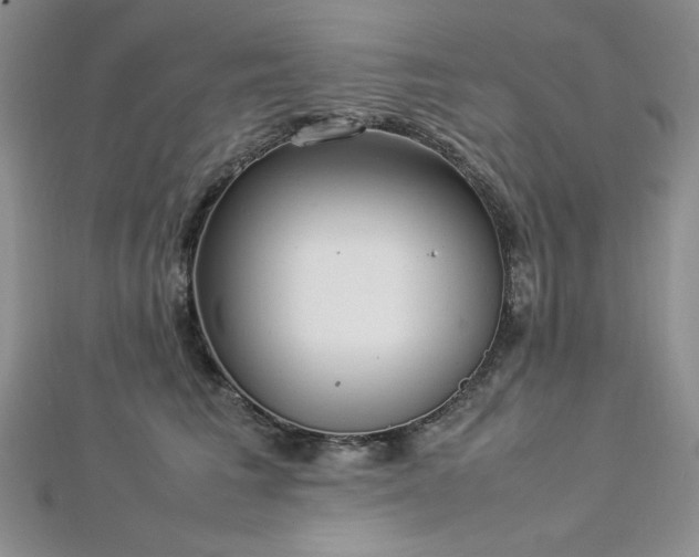 X0000113030613200908271456