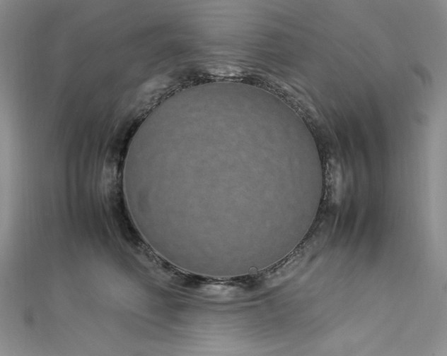 X0000113030614200908271456