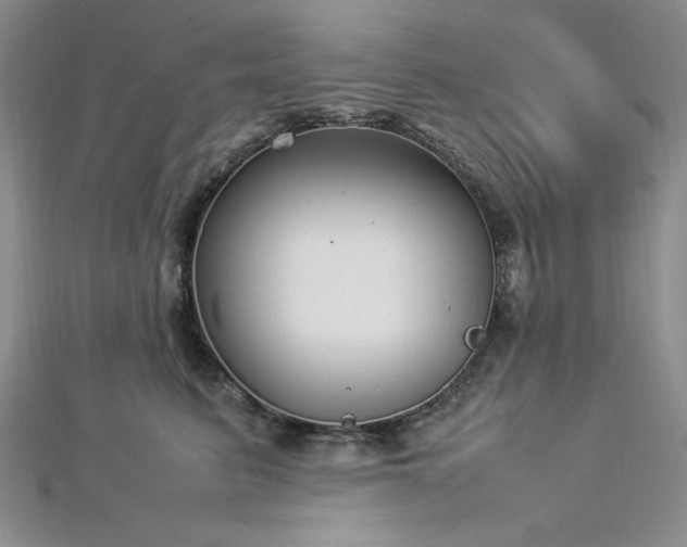 X0000113030615200908271456