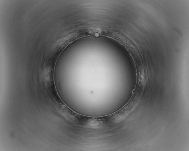 X0000113030616200908271456