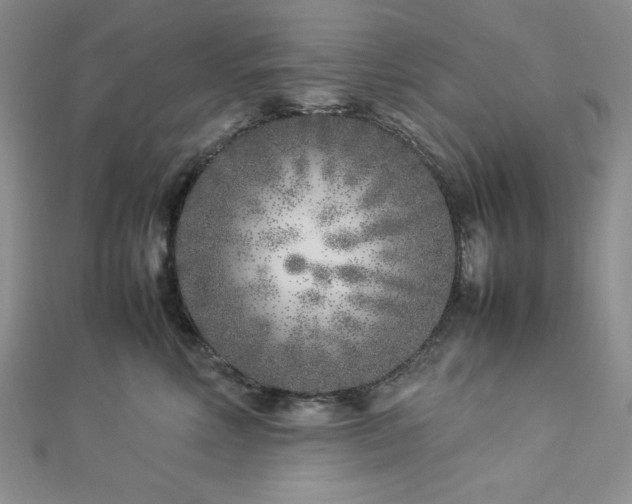 X0000113030618200908271456