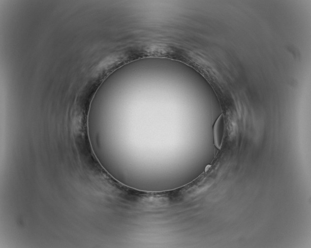 X0000113030619200908271456