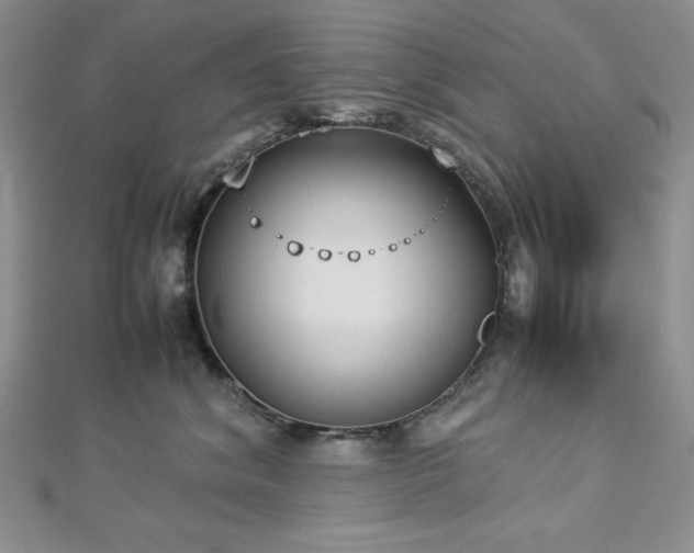 X0000113030620200908271456