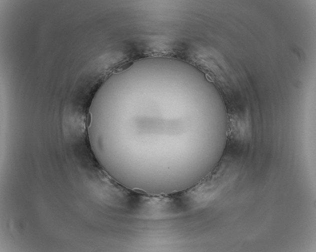 X0000113030621200908271456