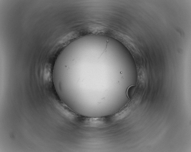 X0000113030622200908271456